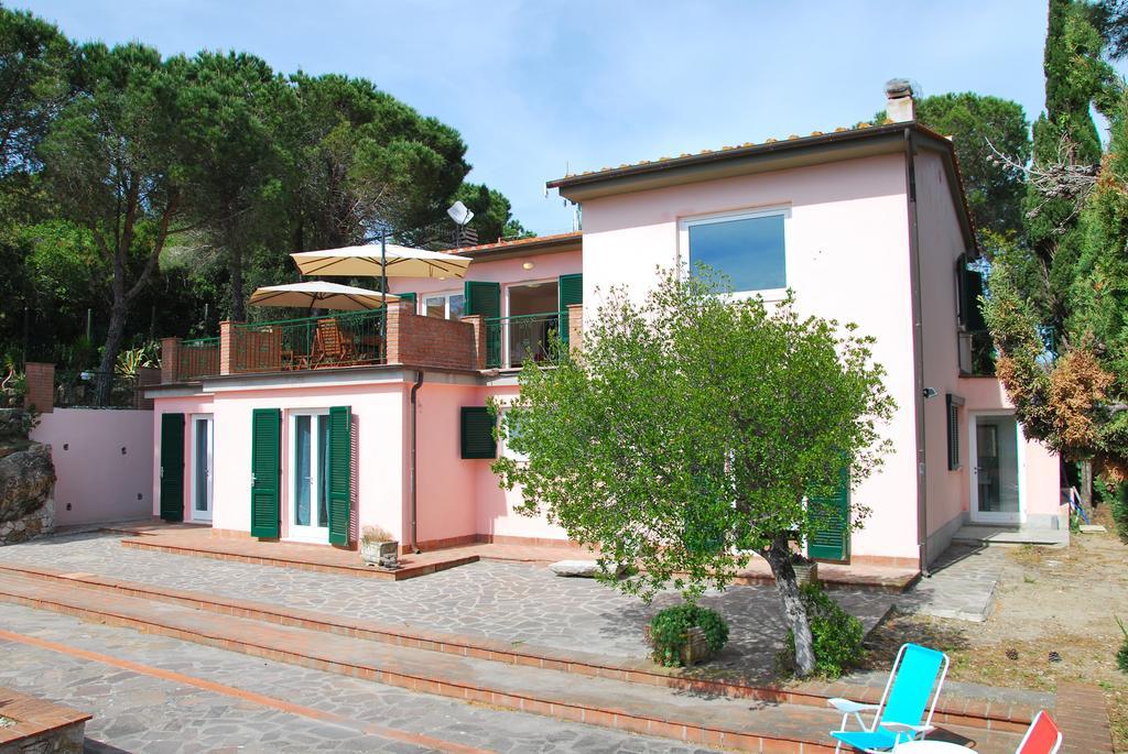 Cicala Villa Marciana (Isola d'Elba)